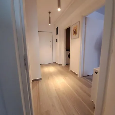86 Nicolea Labis Coresi Brasov