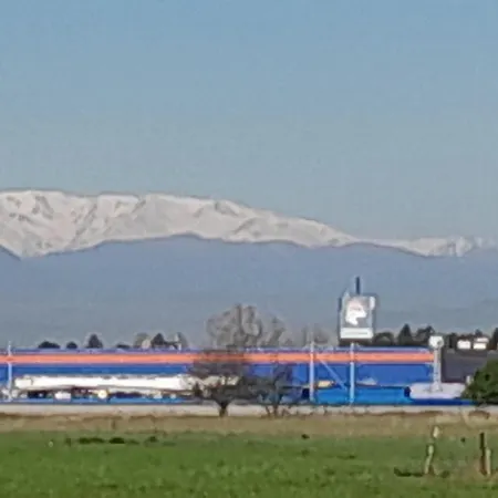 86 Nicolea Labis Coresi * Brasov